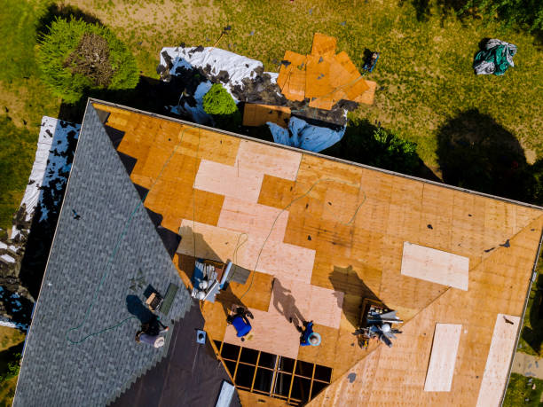 Best Storm Damage Roof Repair  in Keokea, HI