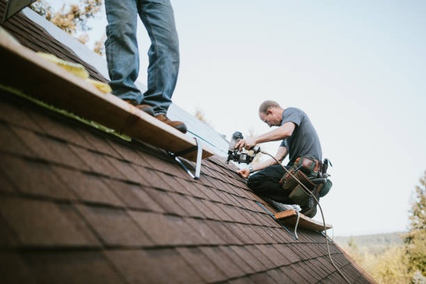 Best Commercial Roofing Services  in Keokea, HI