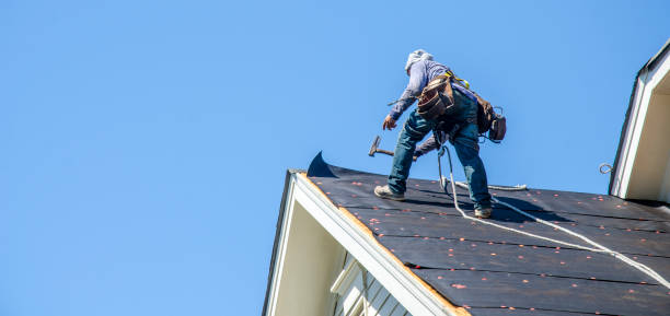 Best Commercial Roofing Services  in Keokea, HI